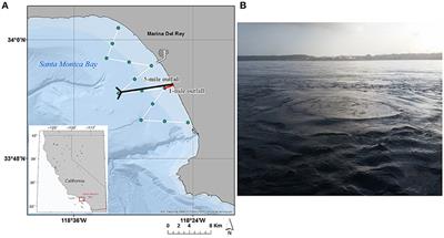 Application of Landsat 8 for Monitoring Impacts of Wastewater Discharge on Coastal Water Quality